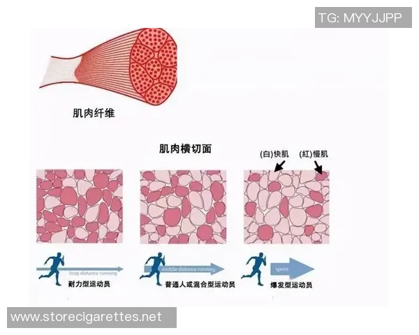 杭州与南京足球队耐力对决赛后分析与反思 杭州与南京足球队耐力对决赛后分析与反思