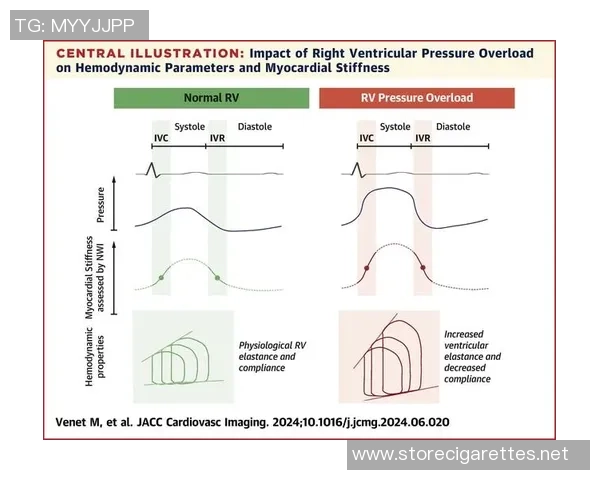 杭州排球队在大师赛中的个人能力分析与表现评估