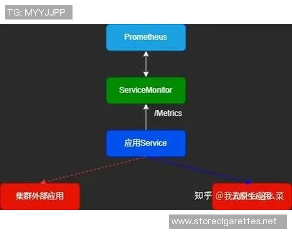 深入分析北京羽毛球队防反战术的独特魅力与实战应用