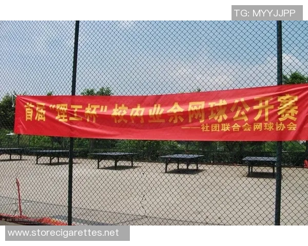 重庆网球队的灵活性探讨与发展策略分析 重庆网球队的灵活性探讨与发展策略分析