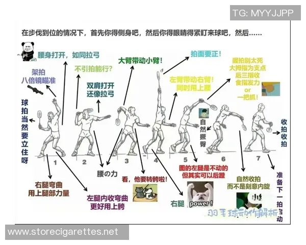 羽毛球战术：南京羽毛球队的整体压制体系