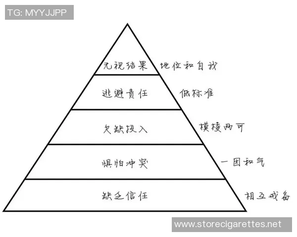 数据分析：上海攀岩队的团队协作表现