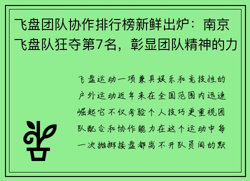 飞盘团队协作排行榜新鲜出炉：南京飞盘队狂夺第7名，彰显团队精神的力量