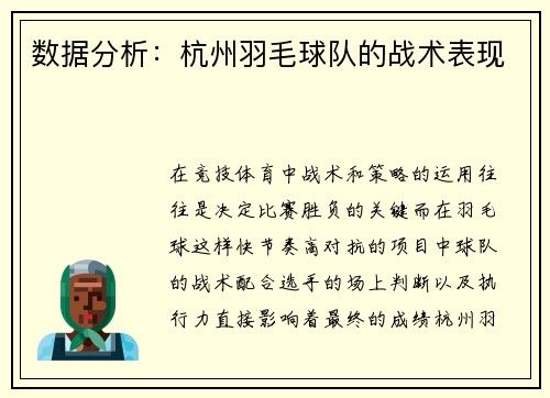 数据分析：杭州羽毛球队的战术表现