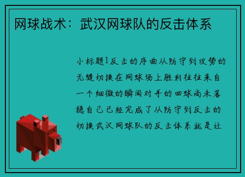 网球战术：武汉网球队的反击体系